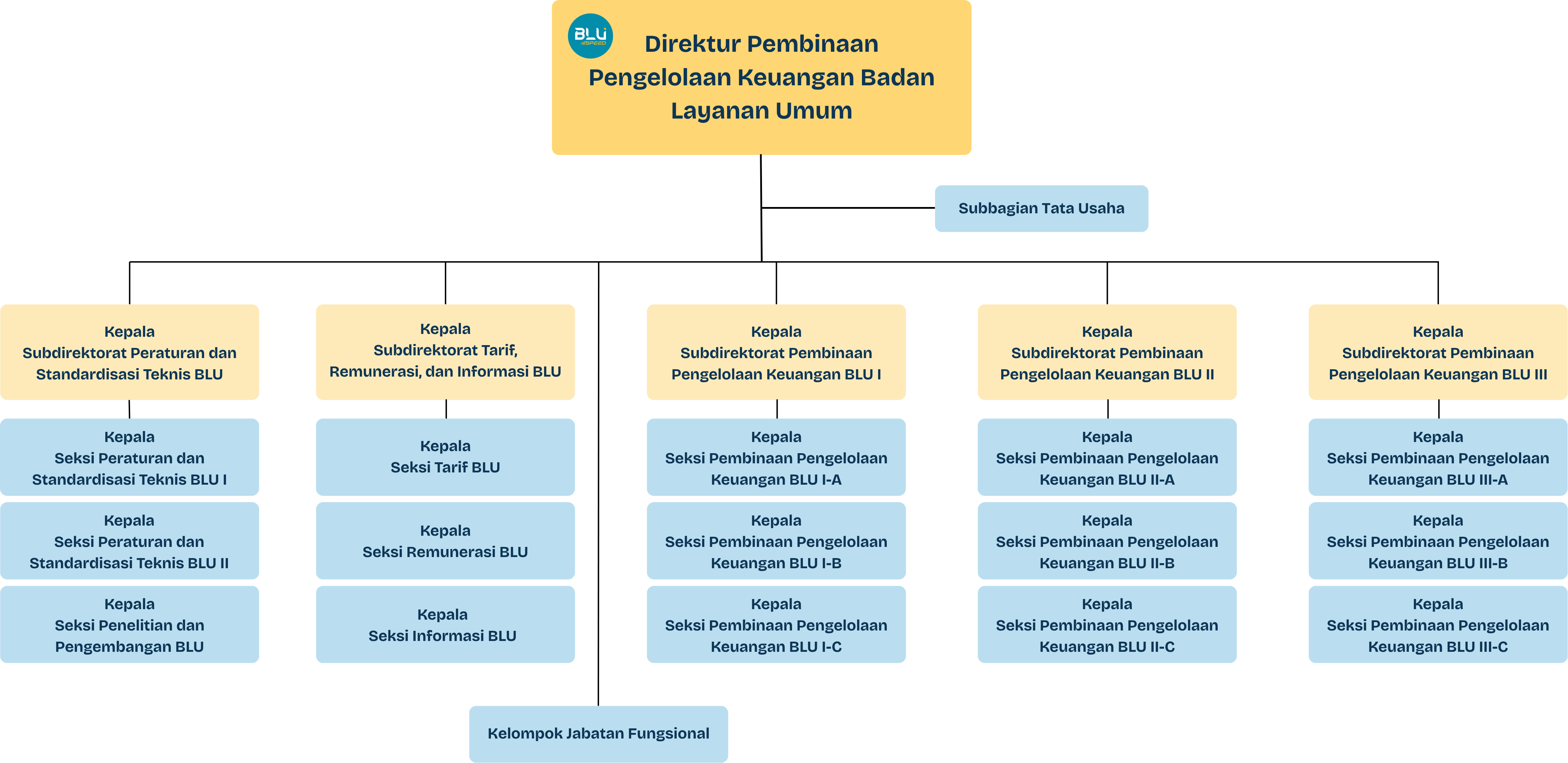 Struktur Organisasi Dit. PPKBLU