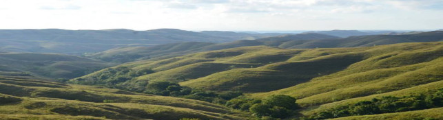 Keindahan Bukit Wairinding, Salah Satu Ikon Kota Waingapu